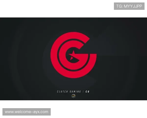 电竞战队赞助合作中的权益分配与激活策略