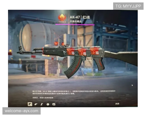 CS2饰品稀有度查询工具：你的库存到底价值多少钱？（49 ）